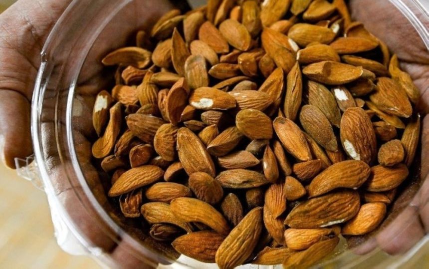 أشجار