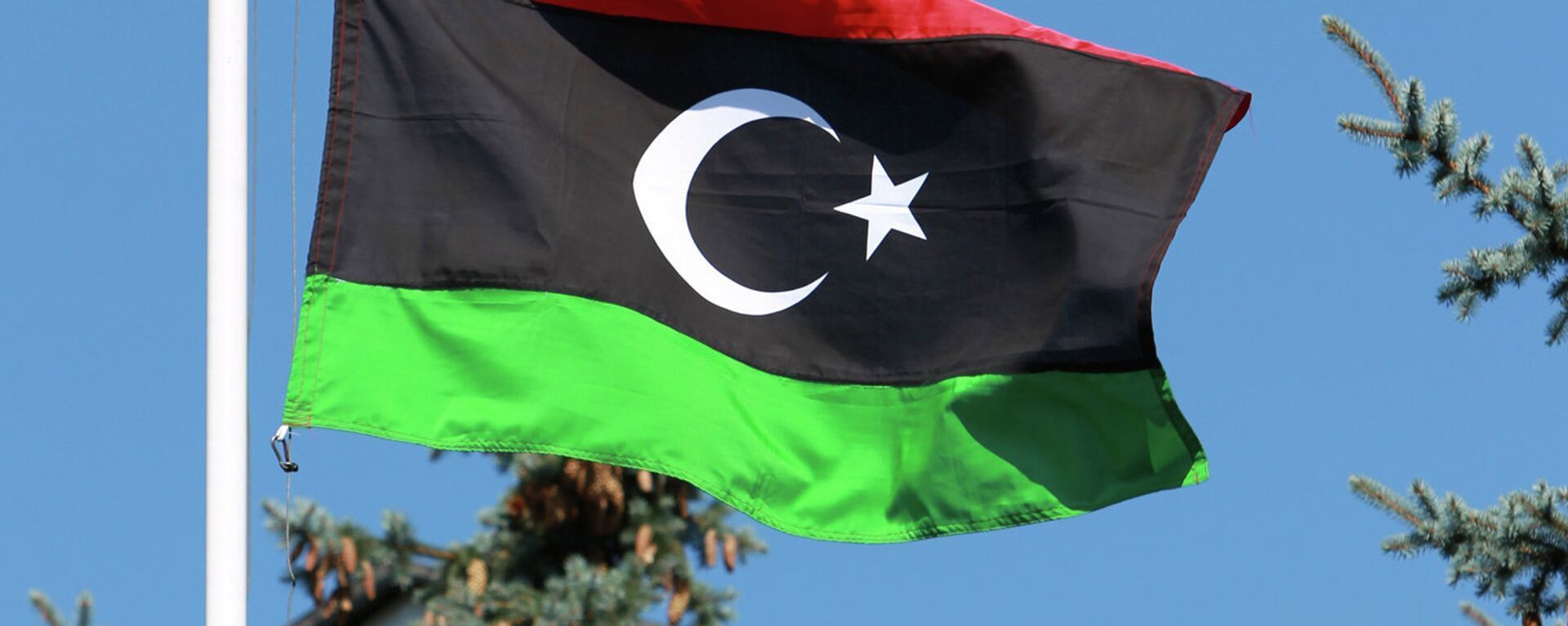 علم ليبيا - الخليج 365 عربي, 1920, 30.01.2024