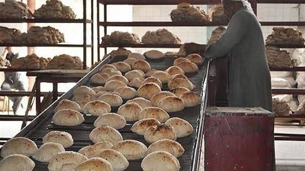 اليوم.. تحصيل مستحقات «التموين» لدى المخابز عبر البريد اليوم.. تحصيل مستحقات «التموين» لدى المخابز عبر البريد