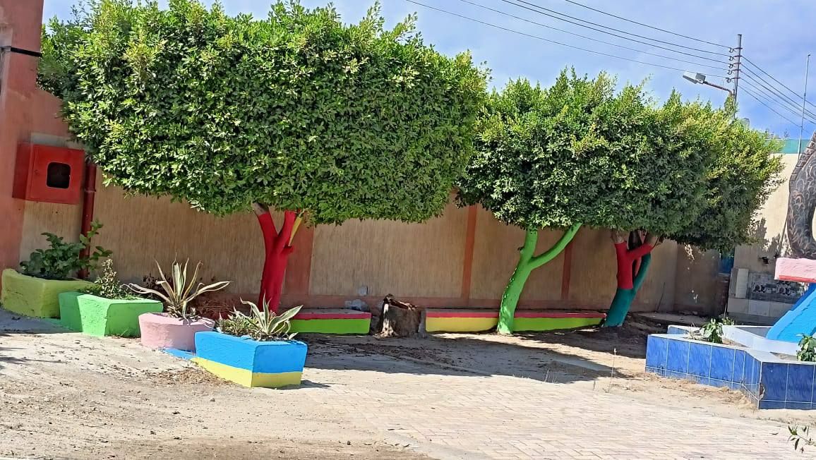 الاهتمام بالتشجير بالمدارس الاهتمام بالتشجير بالمدارس