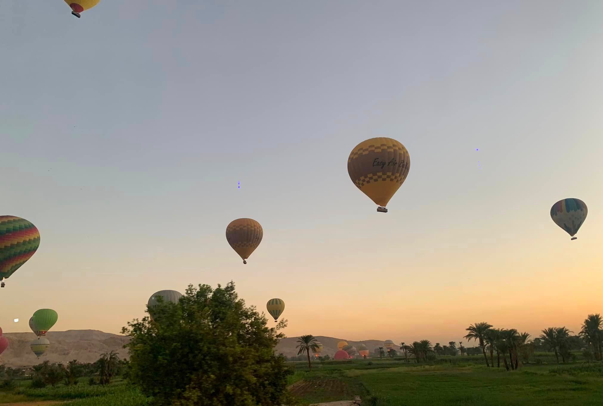 عودة رحلات البالون الطائر بالأقصر بعد توقف يومين بتحليق 75 رحلة تقل 1500 سائح عودة رحلات البالون الطائر بالأقصر بعد توقف يومين بتحليق 75 رحلة تقل 1500 سائح