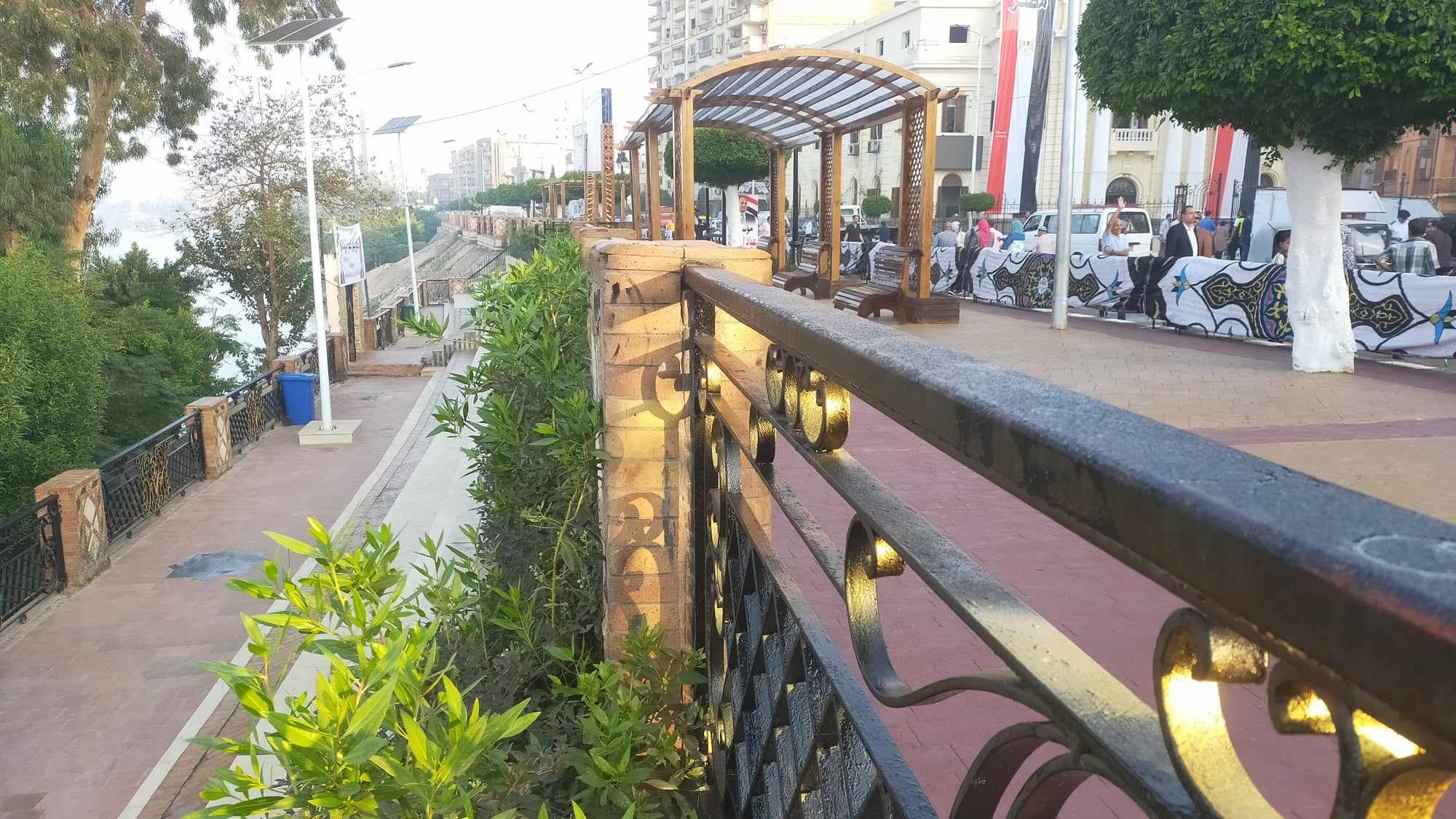 زراعة أشجار على الكورنيش زراعة أشجار على الكورنيش
