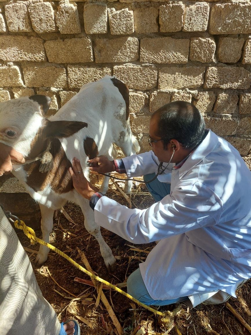 بيطرى الأقصر تنظم قوافل توعوية إرشادية شاملة لتوعية المواطنين بيطرى الأقصر تنظم قوافل توعوية إرشادية شاملة لتوعية المواطنين