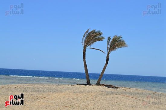 خليج أبو دباب سمى بالشاطئ ذو القاع الأخضر خليج أبو دباب سمى بالشاطئ ذو القاع الأخضر