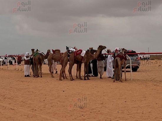 استعداد-الهجن استعداد-الهجن