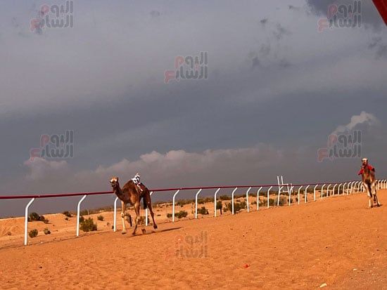 ميدان-سباق-الهجن ميدان-سباق-الهجن