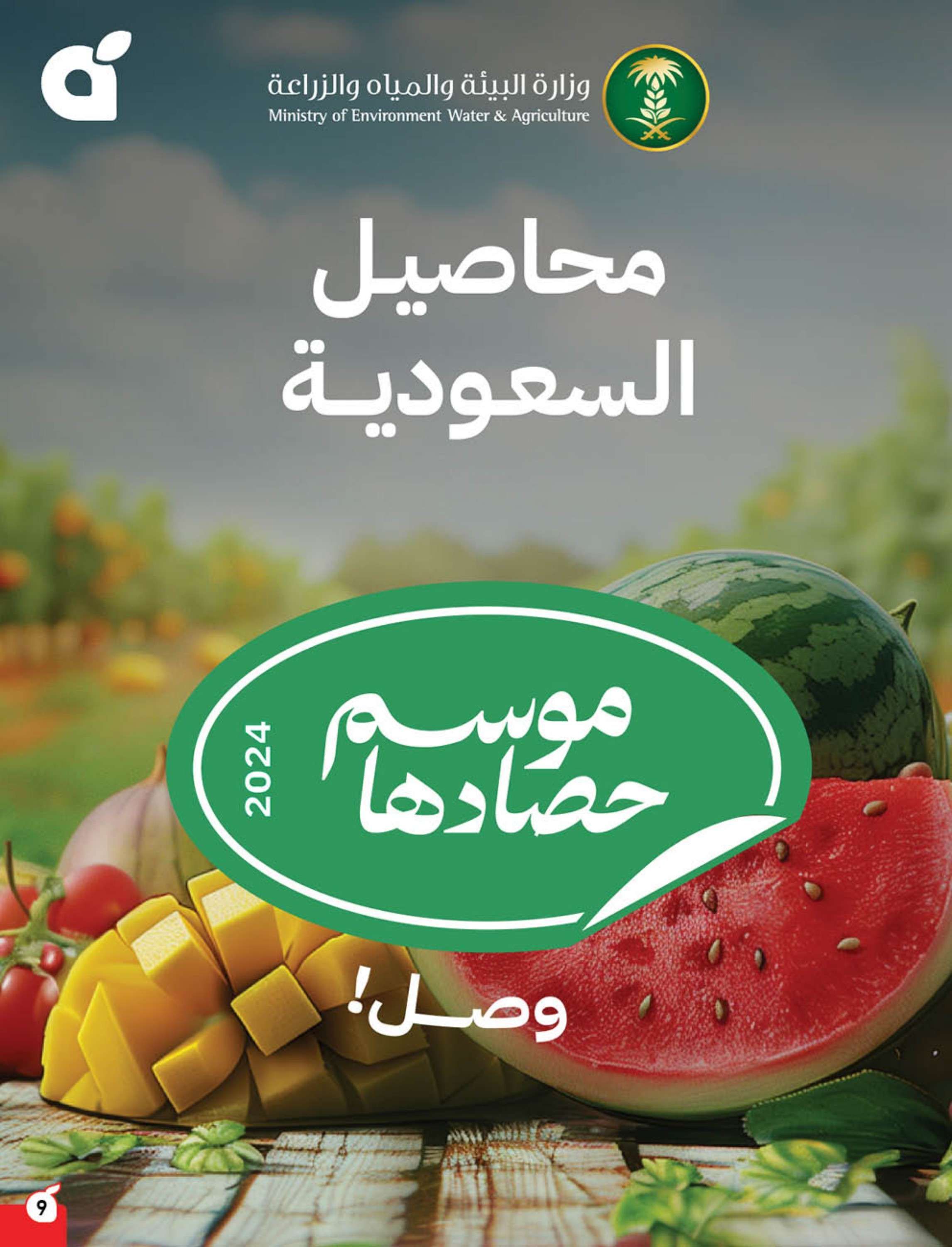 عروض بنده الاسبوعية الاربعاء 15 يناير 2025 | عروض رمضان 1446هـ 10 - عروض بنده الاسبوعية الاربعاء 15 يناير 2025 | عروض رمضان 1446هـ