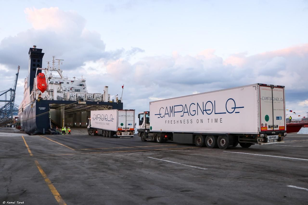 جانب من المشروع (20)