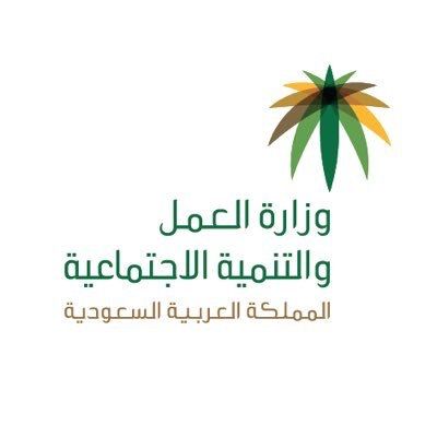 إيداع 1.5 مليار معاشات ضمانية لـ 847 ألف مستفيد لشهر ذي القعدة