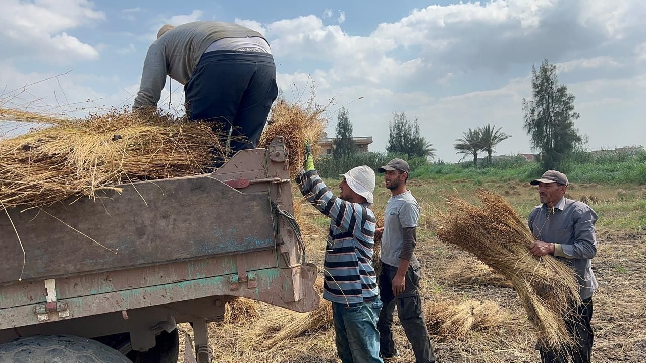 جانب من التحميل جانب من التحميل