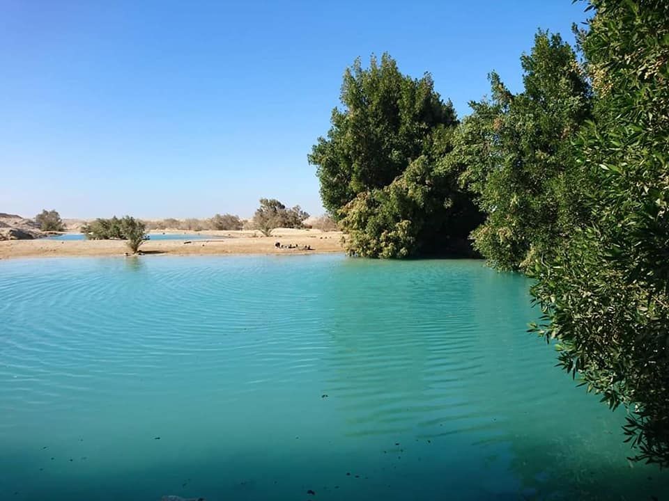 جمال وشفاء جمال وشفاء