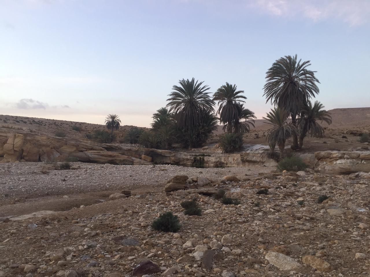 طبيعة بكر طبيعة بكر