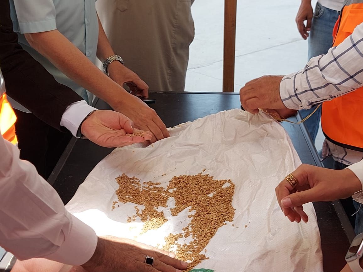 فحص العينات فحص العينات