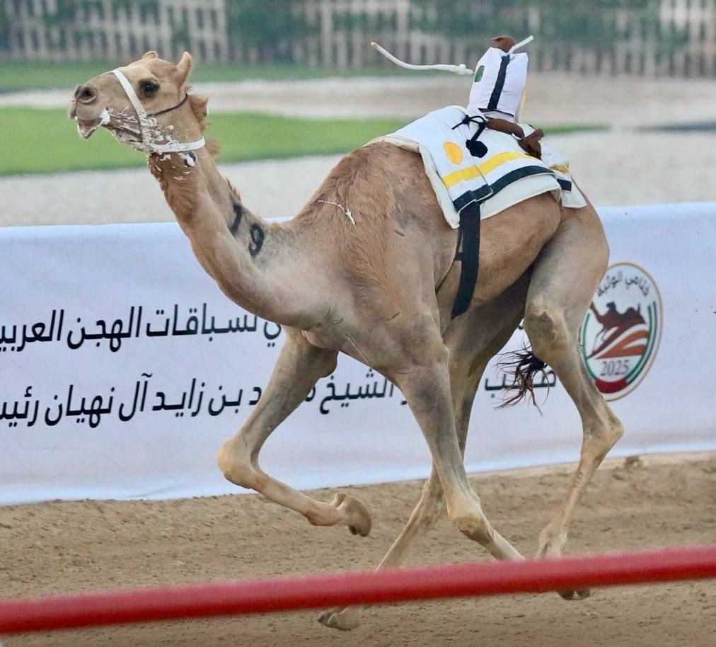 جانب من السباق جانب من السباق