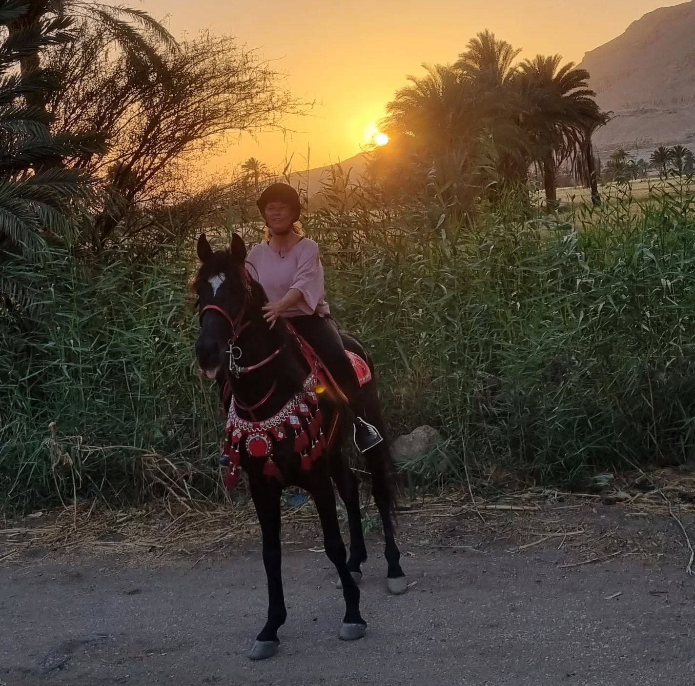سفاري الخيول مع لحظات شروق الشمس غرب الأقصر سفاري الخيول مع لحظات شروق الشمس غرب الأقصر