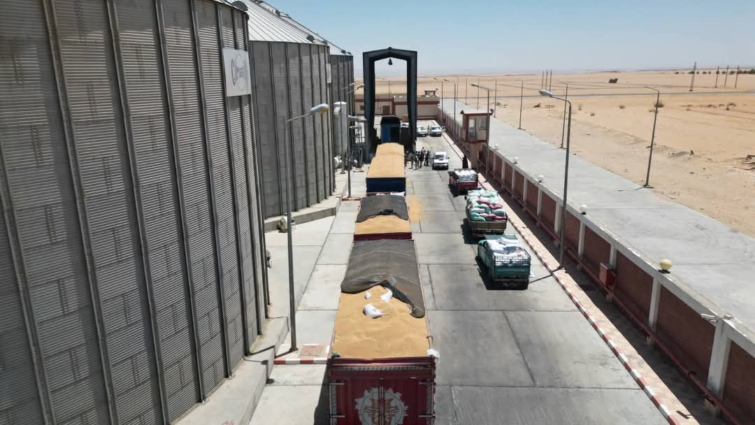 صوامع الوادى الجديد تستقبل الأقماح صوامع الوادى الجديد تستقبل الأقماح