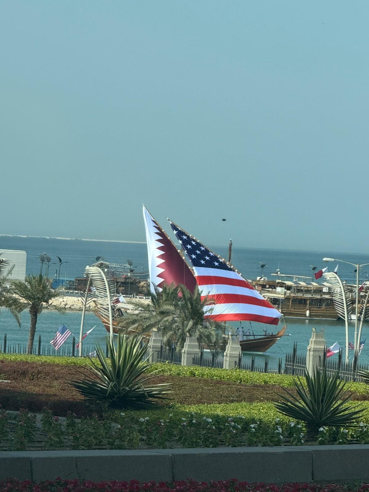 b3732681e6.jpg