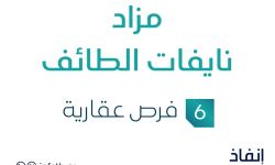 مزاد نايفات الطائف