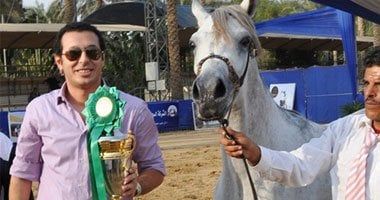 مصطفى شعبان والخيل مصطفى شعبان والخيل