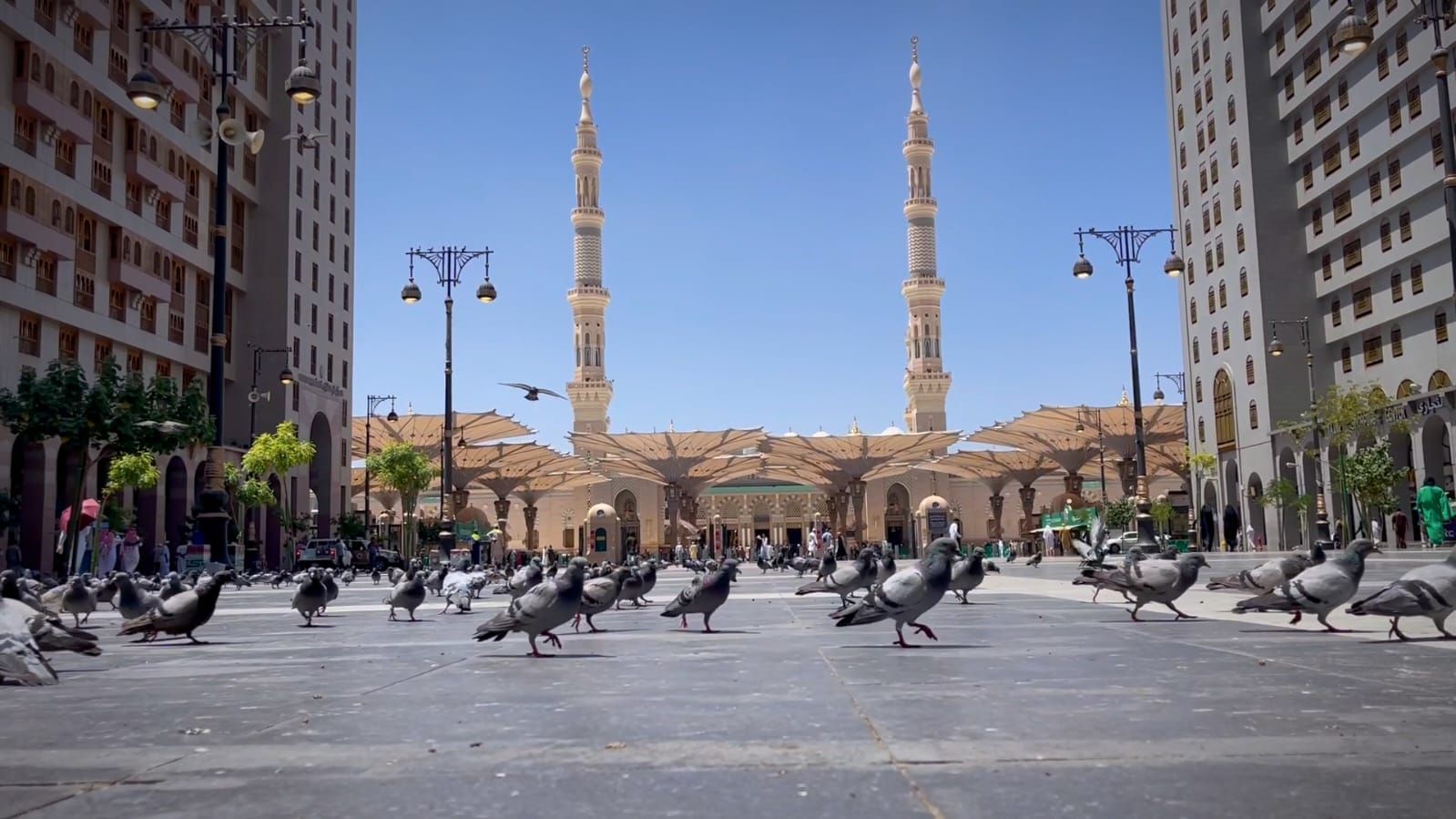 بعثة الحج المصرية ترحب بضيوف الرحمن في المدينة المنورة (3) بعثة الحج المصرية ترحب بضيوف الرحمن في المدينة المنورة (3)