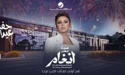 حفل الفنانة أنغام