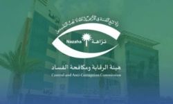 هيئة الرقابة ومكافحة الفساد (نزاهة)
