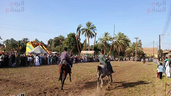 الخيل-في-المرماح-(1) الخيل-في-المرماح-(1)