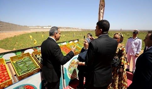 زيارة الوفد زيارة الوفد