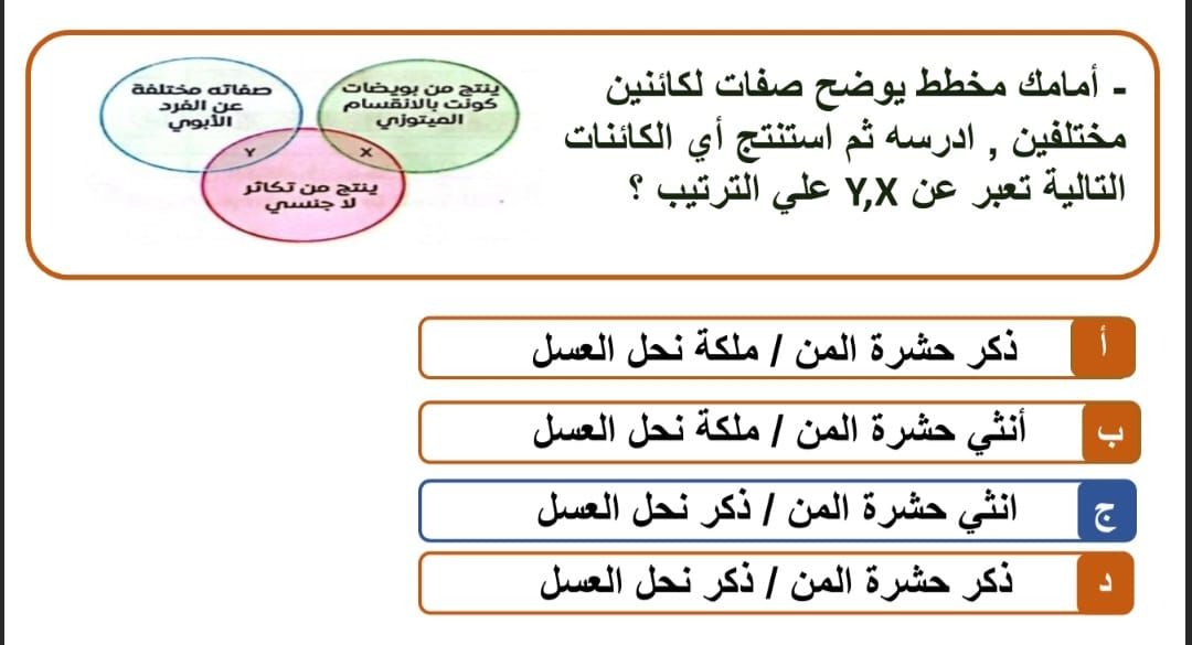 السؤال الأول