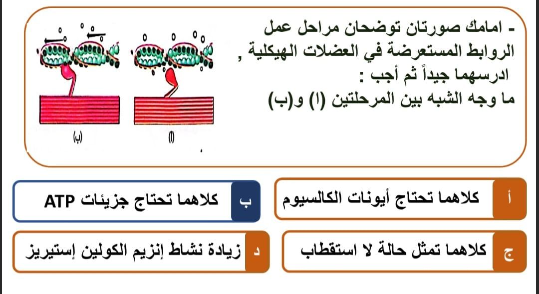 السؤال الثالث السؤال الثالث
