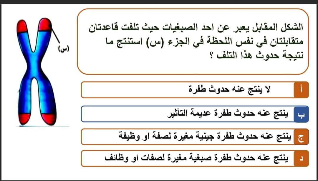 السؤال الثاني السؤال الثاني