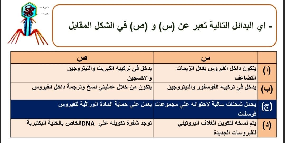 السؤال الرابع السؤال الرابع