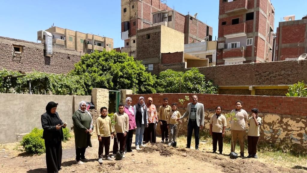 زراعة اشجار ظل باسوان زراعة اشجار ظل باسوان