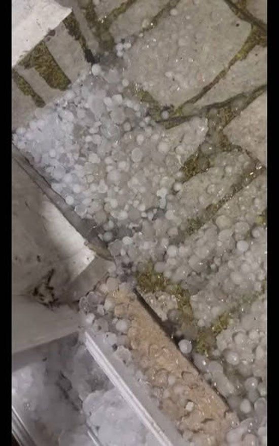 طقس الاسكندرية (6) طقس الاسكندرية (6)