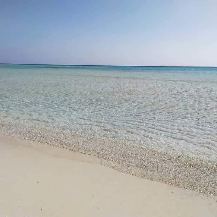 جانب من جمال الطبيعة فى مرسى علم جانب من جمال الطبيعة فى مرسى علم