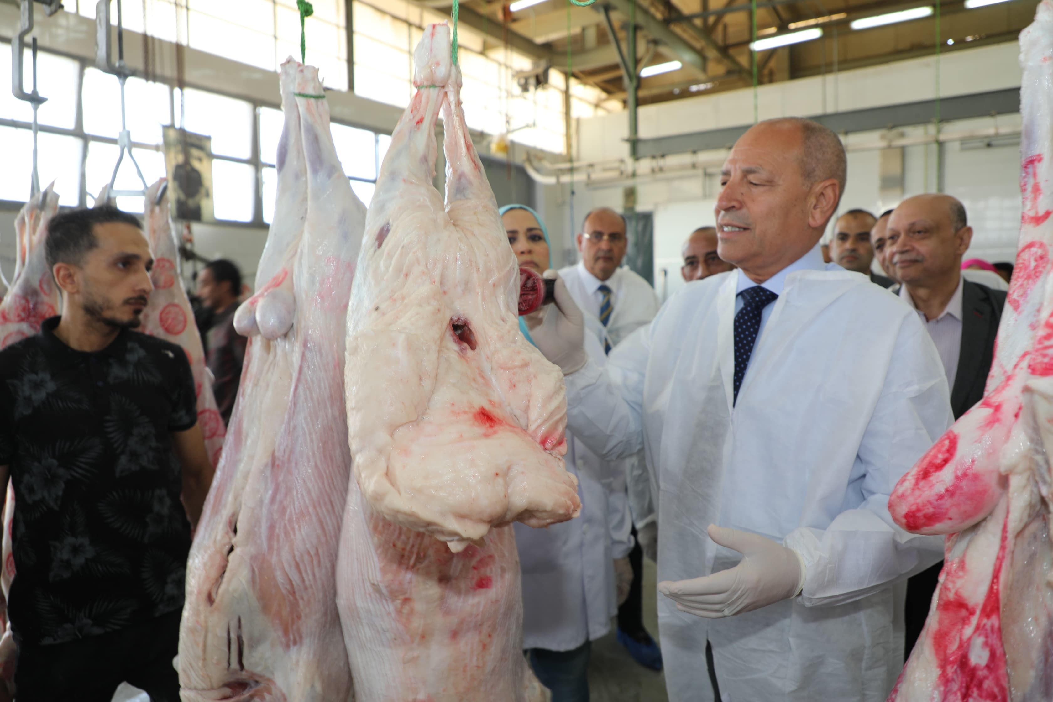 محافظ القاهرة يتفقد استعدادات مجزر 15 مايو محافظ القاهرة يتفقد استعدادات مجزر 15 مايو