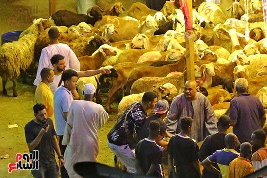 شوادر الخرفان شوادر الخرفان