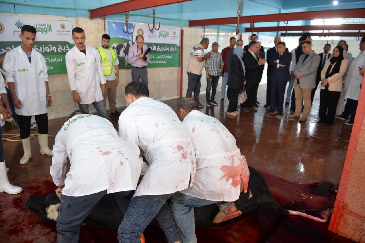 محافظ الدقهلية يشهد ذبح 65 رأس أضاحى (9) محافظ الدقهلية يشهد ذبح 65 رأس أضاحى (9)