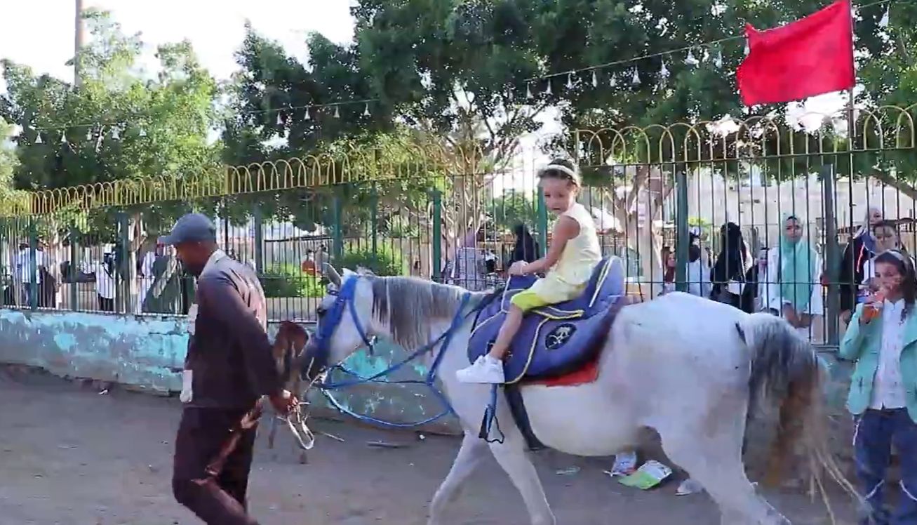 الأطفال يمتطون الخيول بحديقة الحيوان بكفر الشيخ الأطفال يمتطون الخيول بحديقة الحيوان بكفر الشيخ