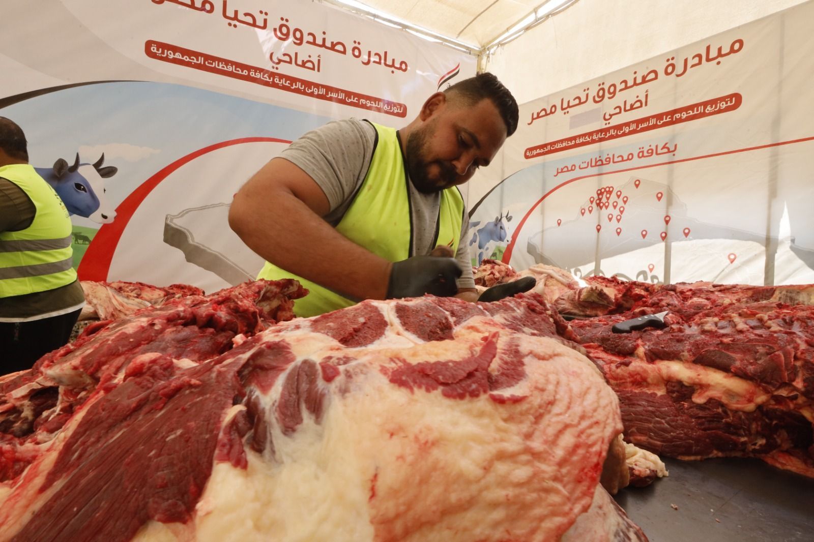 تجهيز اللحوم في مبادرة صندوق تحيا مصر تجهيز اللحوم في مبادرة صندوق تحيا مصر