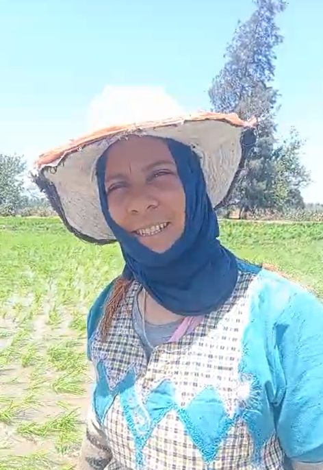 سعادة مزارعة في شتل الارز سعادة مزارعة في شتل الارز