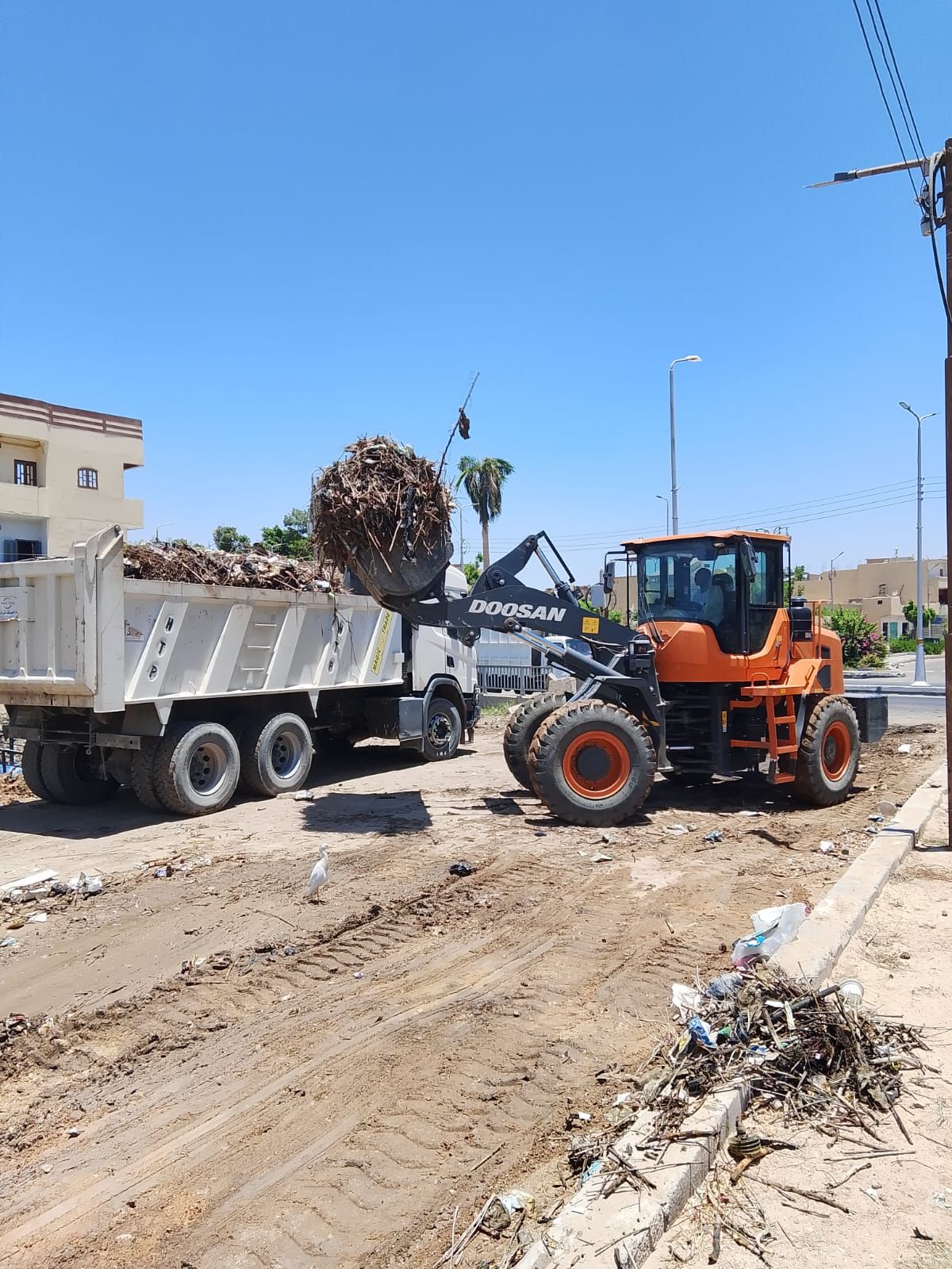 رفع 15 طن قمامة وأتربة وتراكمات خلال حملة نظافة بحي مطار الأقصر رفع 15 طن قمامة وأتربة وتراكمات خلال حملة نظافة بحي مطار الأقصر