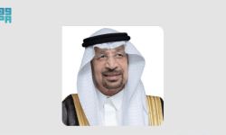 وزير الاستثمار
