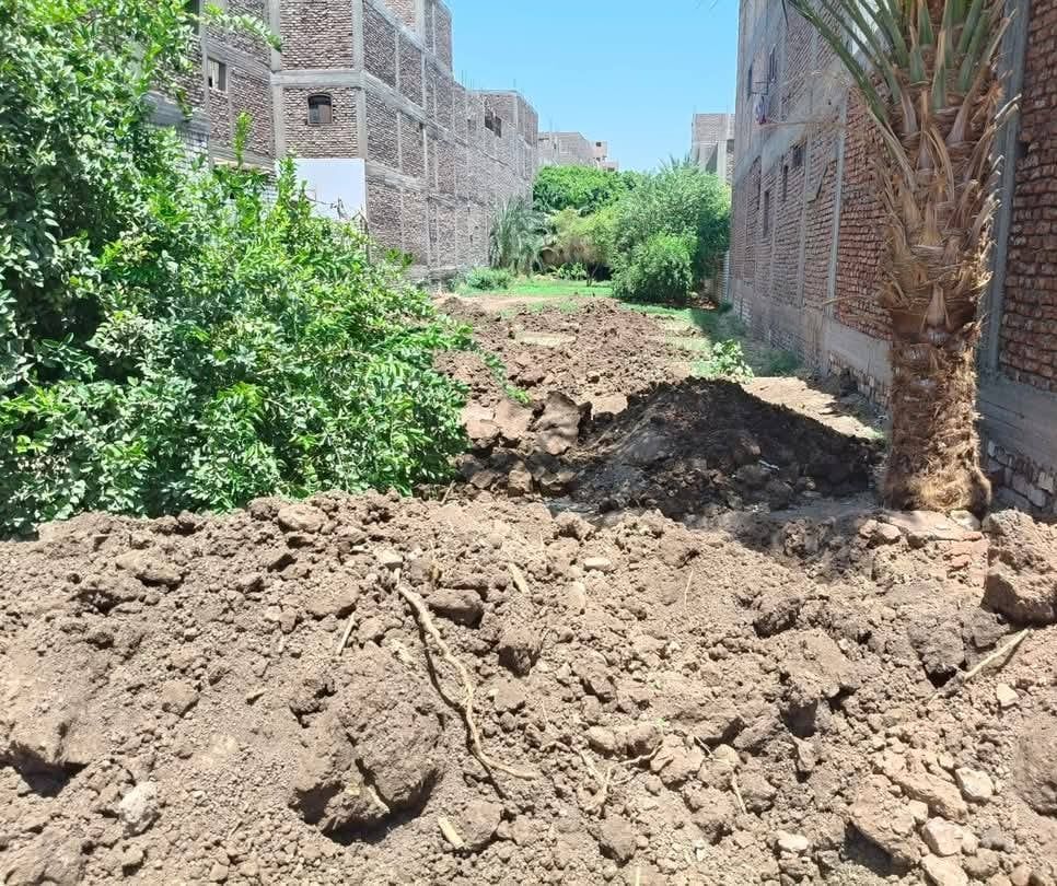 تجهيز أرض أملاك دولة مستردة كمشتل لصالح إدارة الحدائق والبساتين تجهيز أرض أملاك دولة مستردة كمشتل لصالح إدارة الحدائق والبساتين