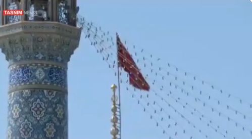 الراية الراية