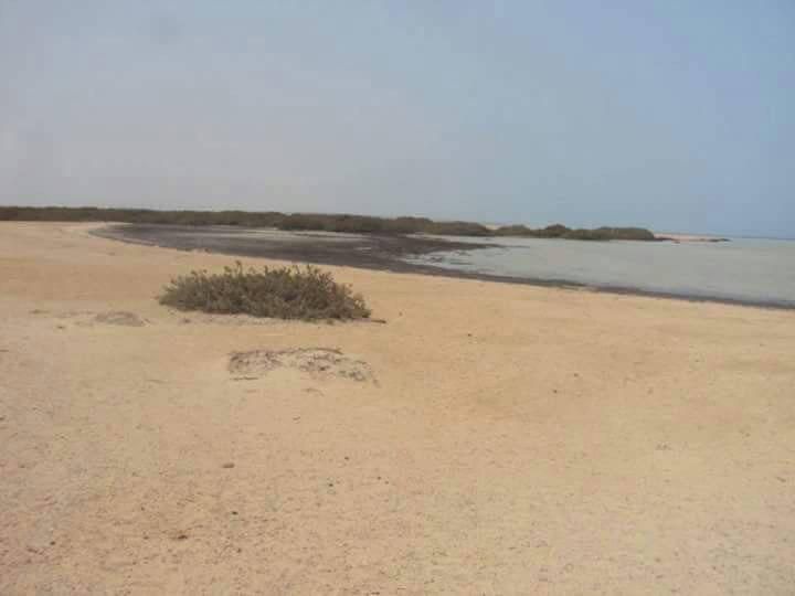 الهدوء والعزلة بابو منقار الهدوء والعزلة بابو منقار