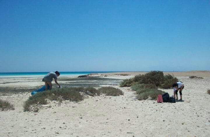 جزيرة أبو منقار بالغردقة جزيرة أبو منقار بالغردقة