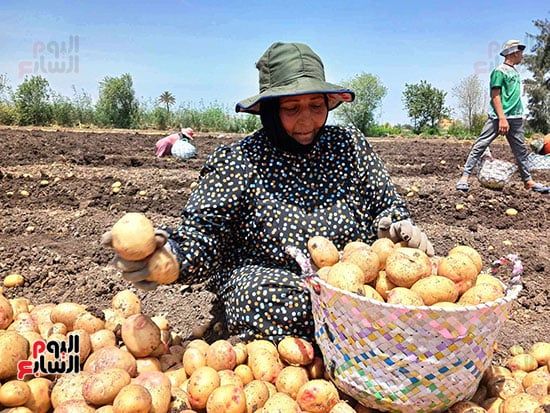 قصة-كفاح-بغيطان-الشرقية قصة-كفاح-بغيطان-الشرقية
