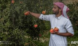 اللقاء الافتراضي المفتوح التعريف بجولات سلو فوود في المملكة