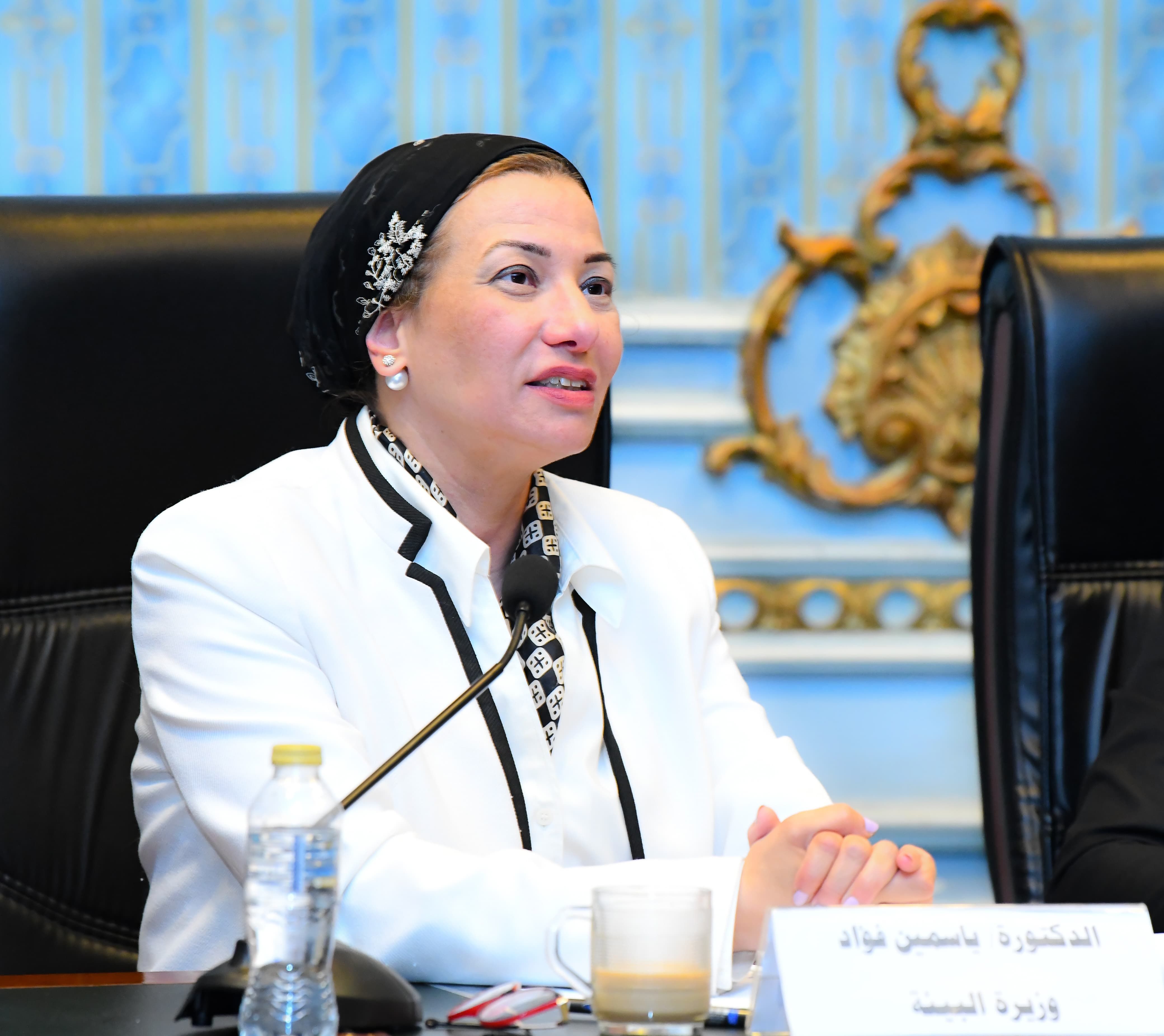 وزيرة البيئة وزيرة البيئة